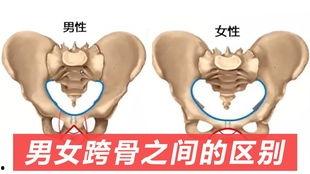 胯骨宽的男生图片,揭秘男性胯骨宽度的独特风采