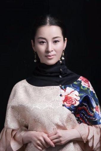 吴岚演员,光影交织下的璀璨星途