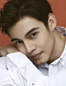 刘述个人资料,才华横溢的青年才俊，多领域成就斐然的杰出代表