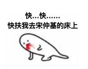 送走表情包,网络时代的情感传递与社交新风尚